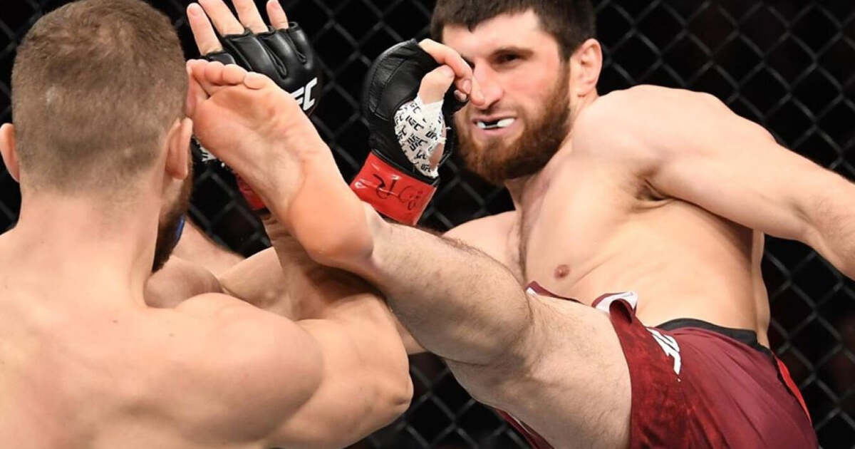 Магомед Анкалаев боец UFC