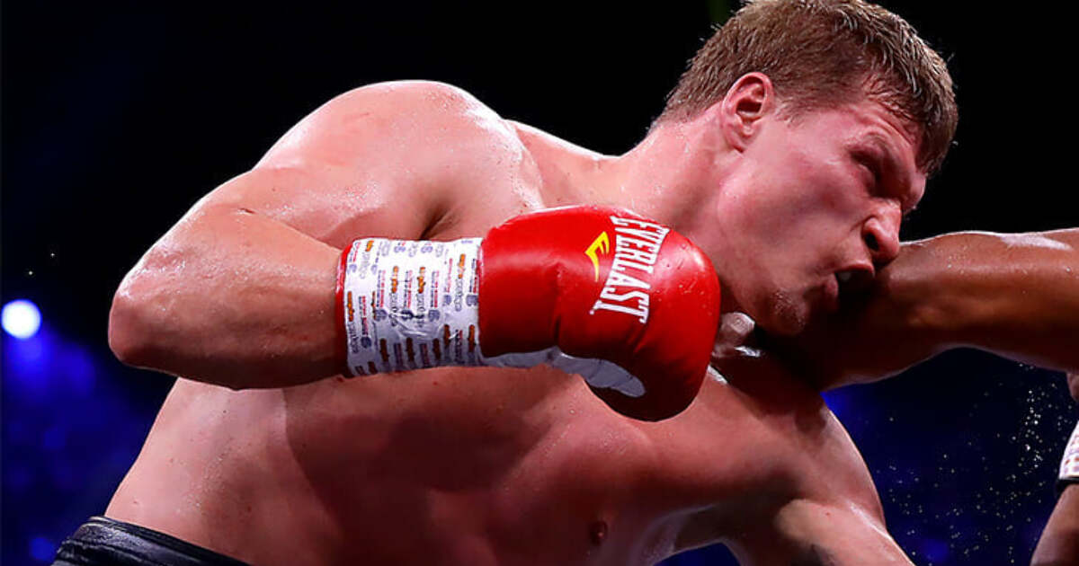 WBC временный чемпион чемпион