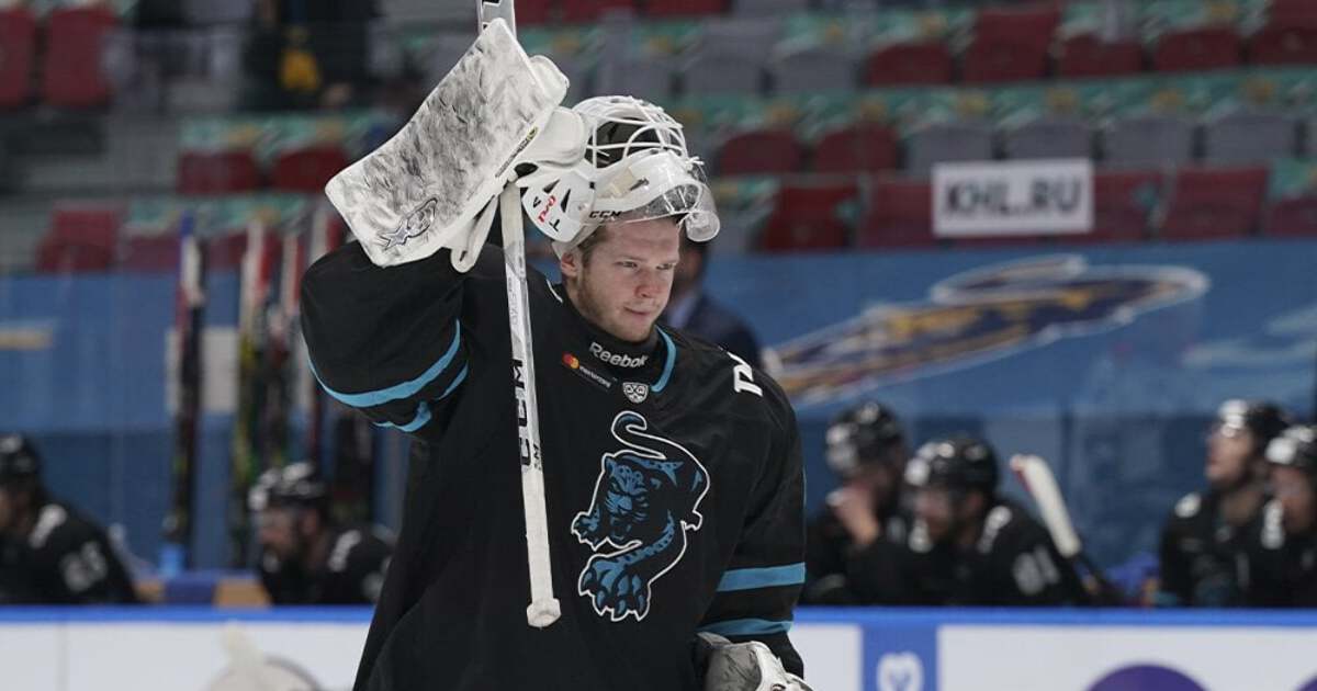 Алексей Красиков хк Сибирь