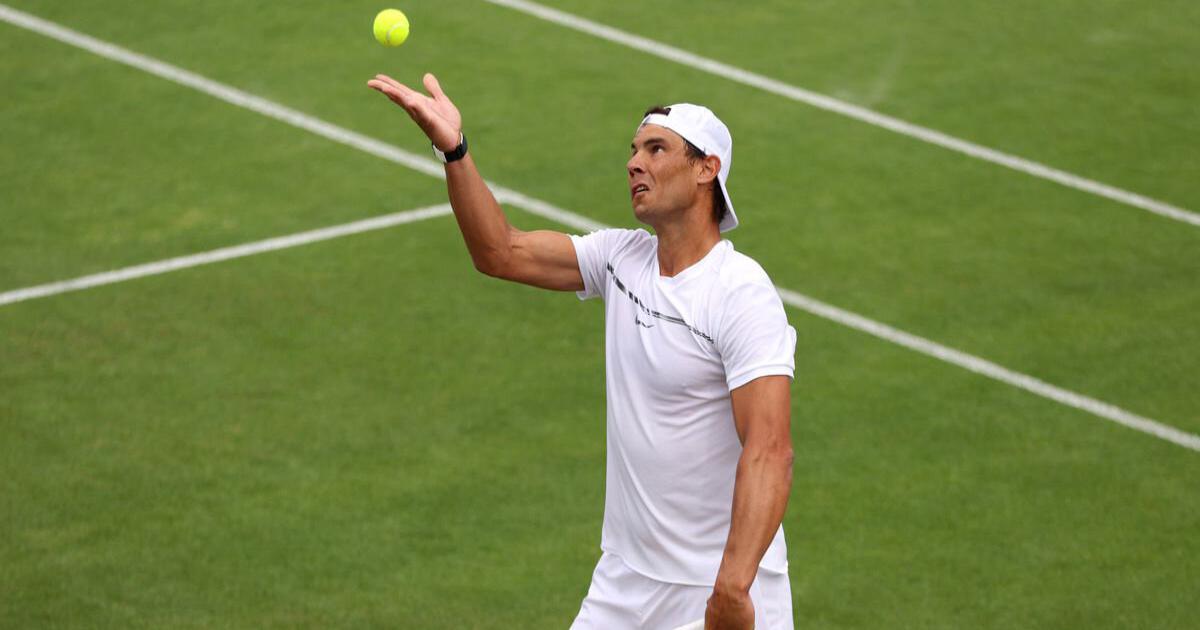 Cuántos wimbledon ha ganado rafa nadal