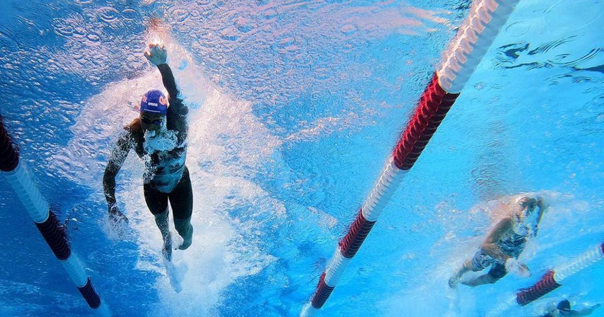 открытие чемпионата по водным видам спорта. саратов прыжки в воду соревнования. доха 2024 водные виды спорта. соревнования по плаванию. доха 2024 водные виды спорта.