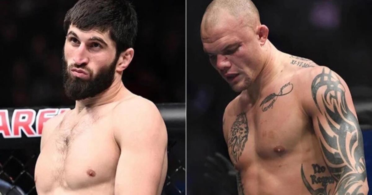 UFC 277