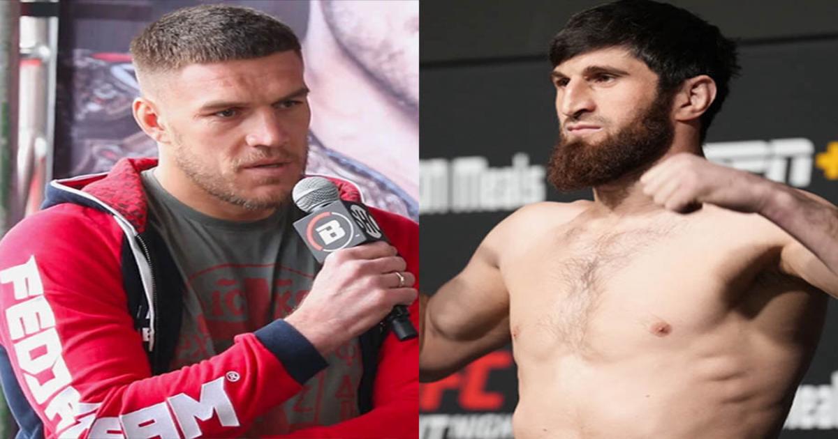 магомед анкалаев ян блахович. анкалаев немков. чемпионы мира из немков. никита крылов боец юфс. анкалаев магомед жена.