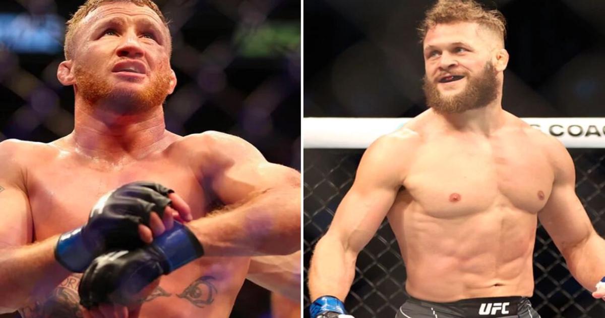 сколько гейджи