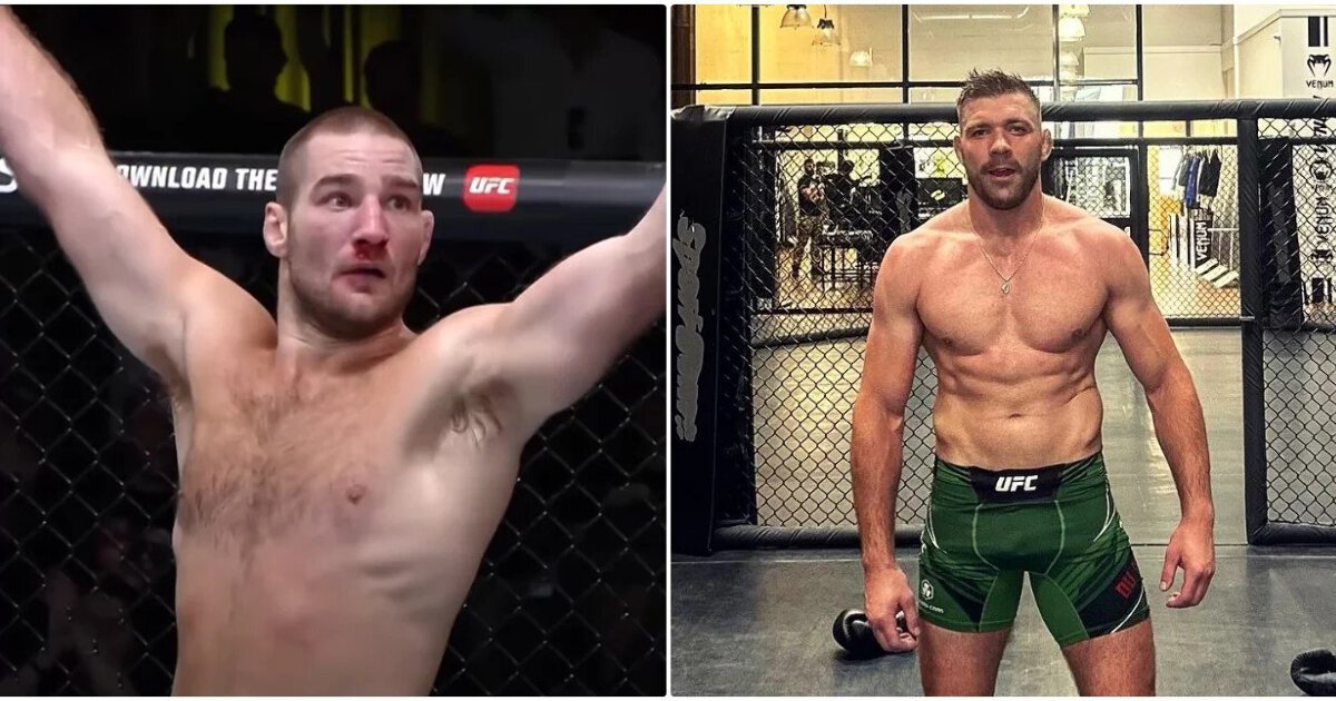 UFC middleweight