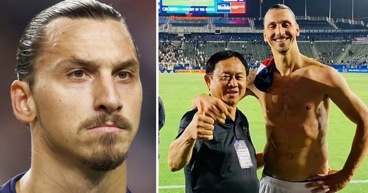 King Zlatan Lion