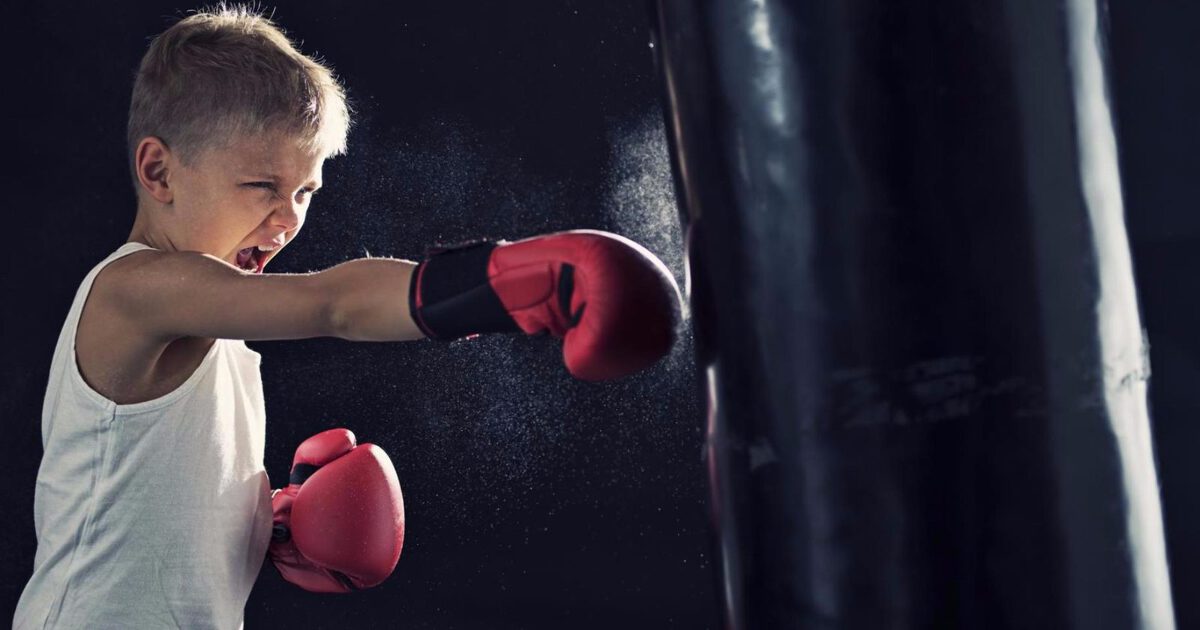 Chuck Davey Boxing