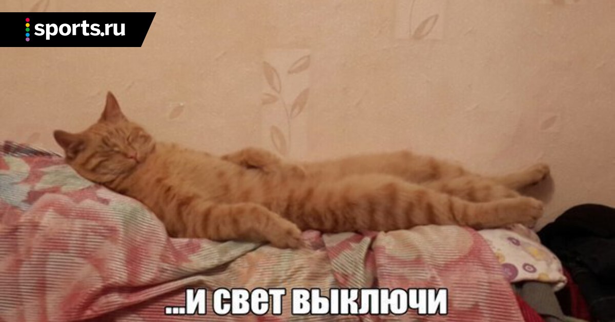 Выключай компьютер и спать картинки прикольные