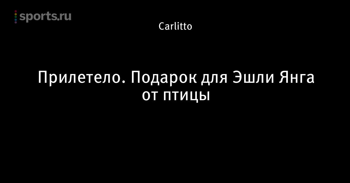 Эшли янга от птицы Эшли янга от птицы